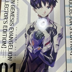 愛蔵版　新世紀エヴァンゲリオン　01、02巻セットの画像