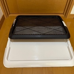 ◯トイレトレー中◯の画像