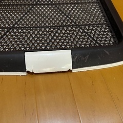 ◯トイレトレー中◯の画像