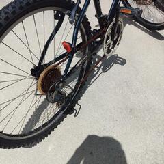 26インチColeman自転車の画像