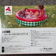 【引取り限定】スイカのビニールプール の画像