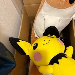 カメラ　ビデオカメラ　ぬいぐるみの画像