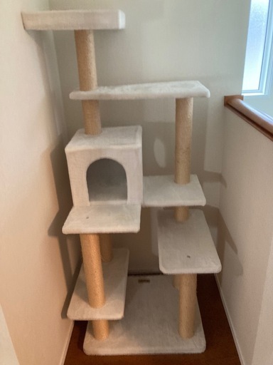キャットタワー