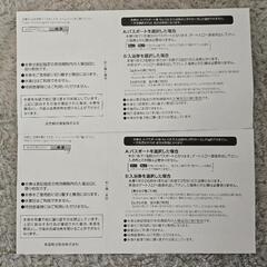 ナガシマスパーランド パスポート 2枚の画像