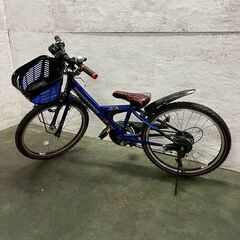 ブリヂストン 子供用 自転車 EXJ26 1A941Q0 ジュニア向け自転車 エクスプレスジュニア 外装6段変速 ダイナモランプモデル Y2062の画像