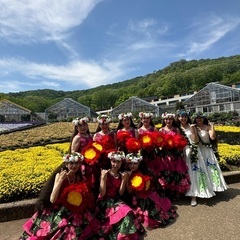  🌺期間限定キャンペーン中/見学体験無料🌺フラ・歌謡フラの画像