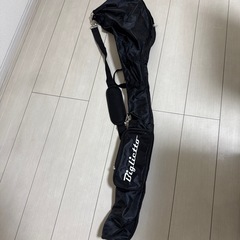 テーラーメイド　アイアンセット　練習用バッグ付 の画像
