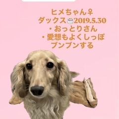 ヒメちゃん☆里親募集中