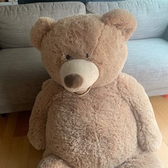 大きな　くまのぬいぐるみ　の画像