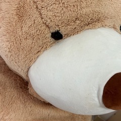 巨大くまのぬいぐるみの画像