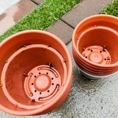 鉢植え　10個の画像