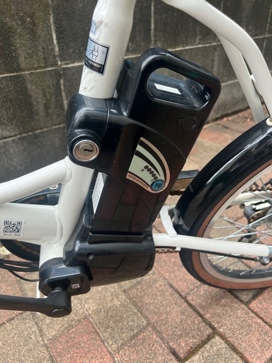 PELTECH(ペルテック) 折り畳み電動アシスト自転車 20インチ折り畳み外装6段変速 【簡易組立必要品】(TDN-206L) ペルテック(Peltech)