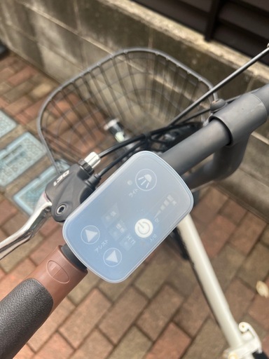 PELTECH(ペルテック) 折り畳み電動アシスト自転車 20インチ折り畳み外装6段変速 【簡易組立必要品】(TDN-206L) ペルテック(Peltech)