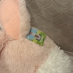 コストコ　うさぎ　ぬいぐるみの画像