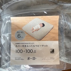ニトリ　カバー付きふっくらベビーマットの画像