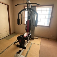IROTEC（アイロテック）パワーボディジム PBG200の画像