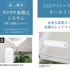 GEXオールインワン水槽10Lの画像