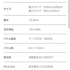 【川島織物セルコン】カーペット　絨毯　ラグの画像