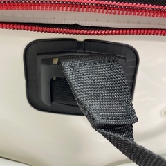 Gamakatsu 中型バッカン ホワイトの画像