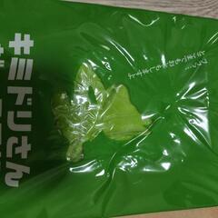 涼宮ハルヒの憂鬱付録セットの画像