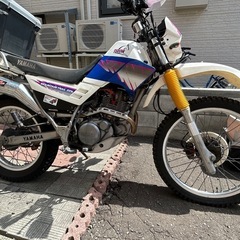セロー225の画像