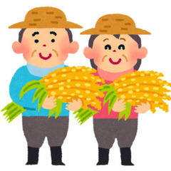 (25年10月末まで!)稲わら(稲藁)譲ってください！
