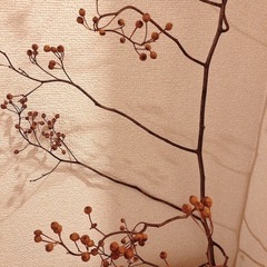 ドライフラワー枝の画像