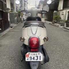 ホンダ  ジョルノの画像