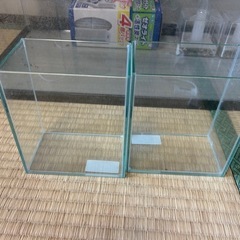 60センチ水槽その他の画像