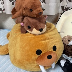 海の生き物　ぬいぐるみの画像