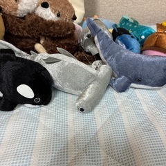 海の生き物　ぬいぐるみの画像