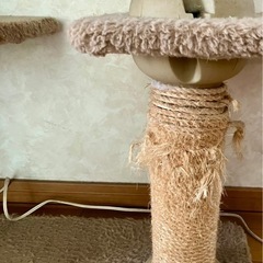 キャットタワーの画像