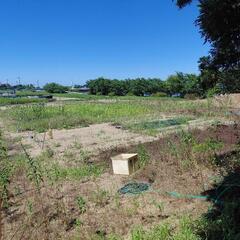 困ってますの画像
