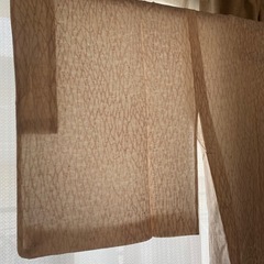 夏物の羽織の画像