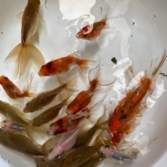 決まりました。
の画像