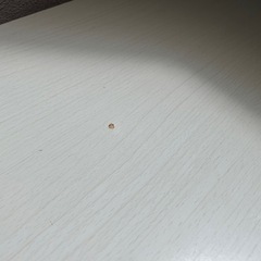 テーブル　こたつ　机　ニトリの画像