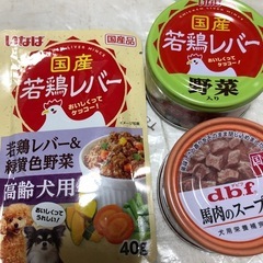 シニア犬のエサの画像