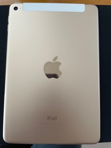 Apple iPad mini4 128GB ゴールド (しおこんぶ) 荒子川公園の