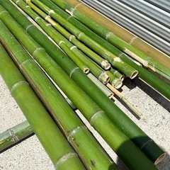 流しそうめん 竹の画像