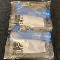 競馬グッズ　カードホルダー　競馬カード　人形　ライスシャワー　宮澤佐江　AKB48　JRA　東京競馬場　90周年記念品の画像