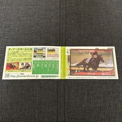 競馬グッズ　カードホルダー　競馬カード　人形　ライスシャワー　宮澤佐江　AKB48　JRA　東京競馬場　90周年記念品の画像
