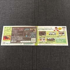 競馬グッズ　カードホルダー　競馬カード　人形　ライスシャワー　宮澤佐江　AKB48　JRA　東京競馬場　90周年記念品の画像