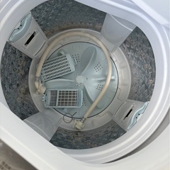 0491 TOSHIBA 東芝電気洗濯機 AW-7GM2 2024年製 7.0kgの画像