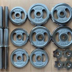 WILD FIT クロームダンベルセット10kg × 2の画像