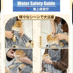 猫ちゃんにいかがですか！の画像