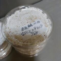 川西産オオクワガタ幼虫5匹セット   奈良輪川西血統 管理番号03 の画像