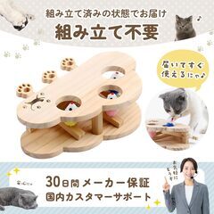 猫の下僕 猫のおもちゃ もぐらたたき 知育玩具 一人遊び ねずみ 木製 【日本ブランド】の画像