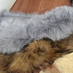 ファーとフェイクファーの画像