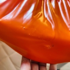アンパンマン　トランポリン　ぴょんぴょんジャンプの画像