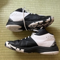 バッシュ　アシックス　22.5cmの画像